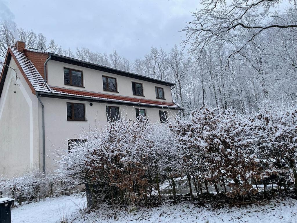 Apartment Am Hochwald Reinhardtsdorf-Schona Esterno foto