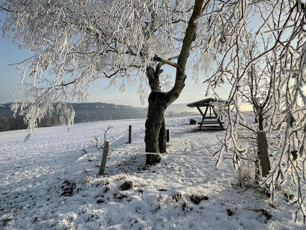 Apartment Am Hochwald Reinhardtsdorf-Schona Esterno foto