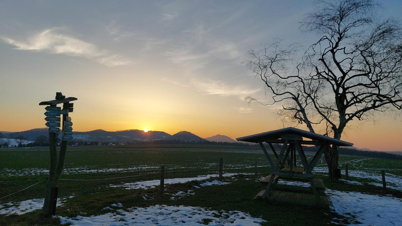 Apartment Am Hochwald Reinhardtsdorf-Schona Esterno foto