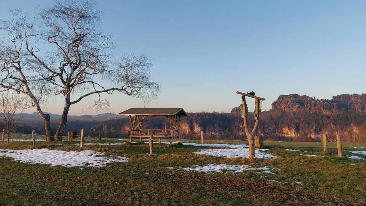 Apartment Am Hochwald Reinhardtsdorf-Schona Esterno foto